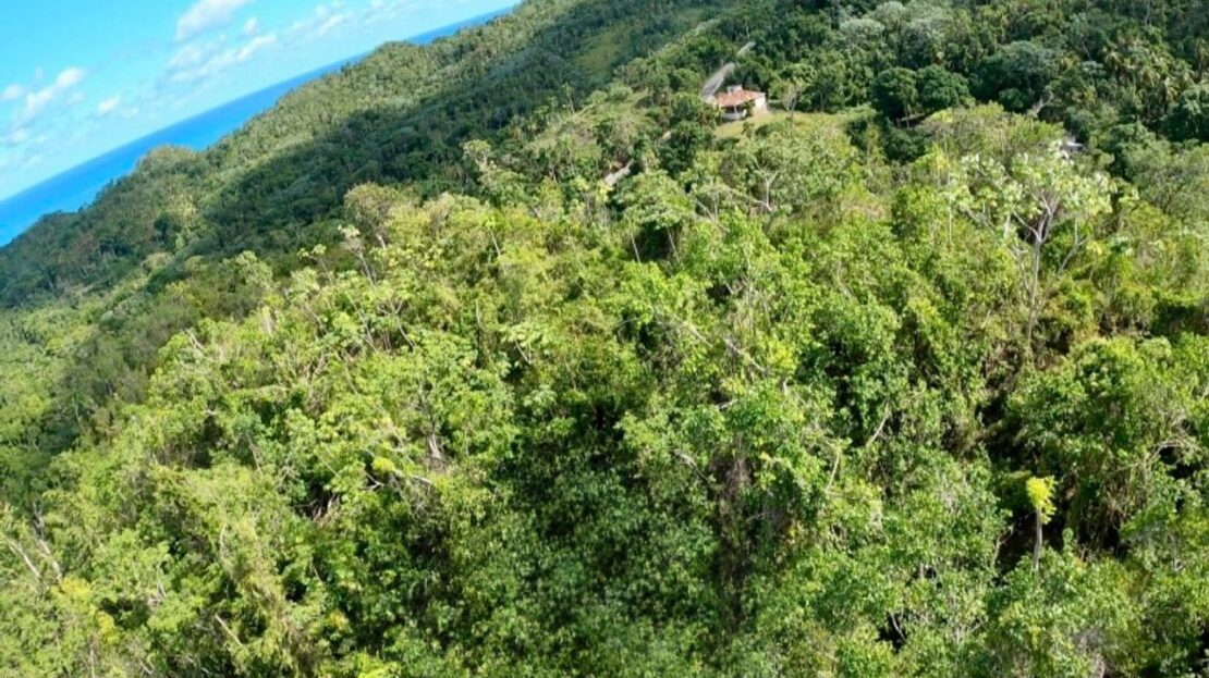 Aerial view of a plot of land